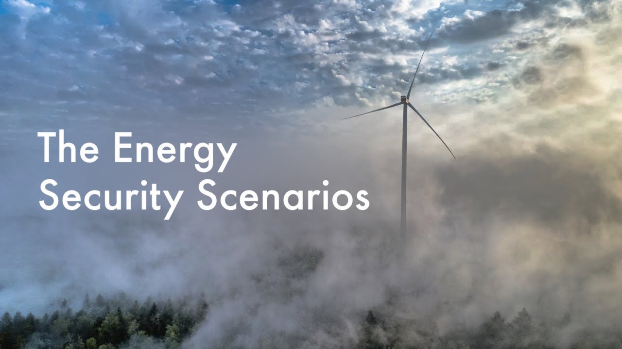 The Energy Security Scenarios