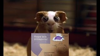 Видеообзор пароочистителя Китфорт КТ- 918-3