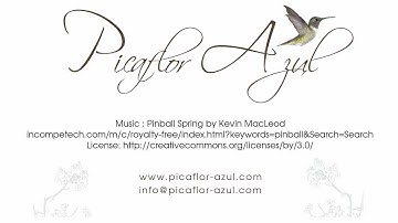 Easy Help Zen Cart Tutorial: First Steps, Setup Currencies