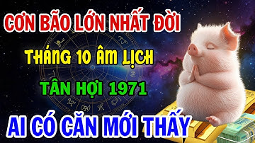 RÚNG ĐỘNG! Tân Hợi 1971 Tháng 10 Âm: Đối mặt cơn bão lớn nhất đời, Ai Hãm Hại, Ai Giúp Đỡ sẽ Biết