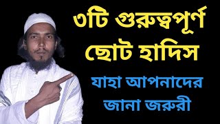 ★ ৩টি গুরুত্বপূর্ণ ছোট হাদিস যা আমাদের সকলের জানা উচিত || নুরে মদিনা টিভি