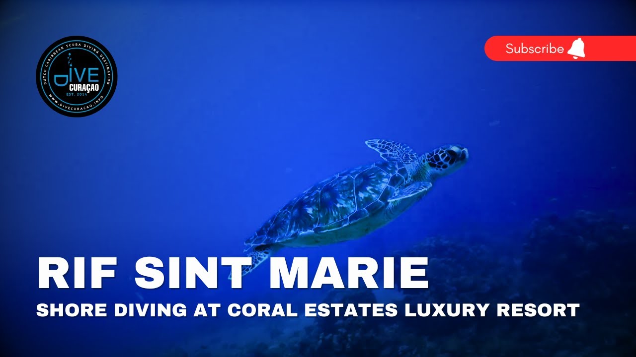 Scuba Diving the Rif Sint Marie Dive Site in Curaçao: Shore Diving at Coral Estates Luxury Resort