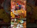Virandaban ek baar aa kar to dekho#youtubeshorts #krishna #video