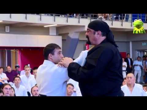 Aikido VS punch