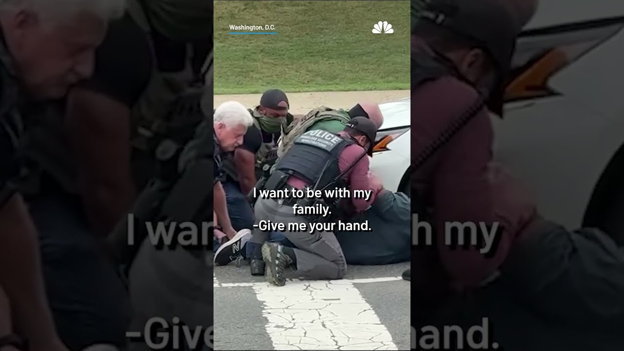 Arrest Made At National Mall During Apparent ICE Enforcement