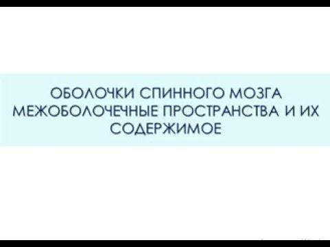 ОБОЛОЧКИ СПИННОГО МОЗГА. МЕЖОБОЛОЧЕЧНЫЕ ПРОСТРАНСТВА И ИХ СОДЕРЖИМОЕ. Центральная нервная система.