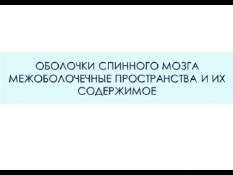 Видео: Что такое оболочечная нервная система?