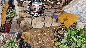 Against All Odds: A Single Mother’s Dangerous Mountain Journey for Her Children