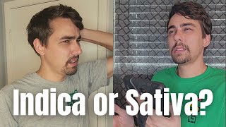 Indica or Sativa?