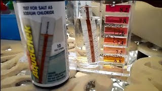 Checking your pools salt level