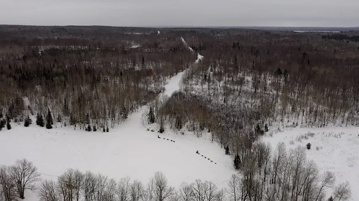 The Slice | A Short History of the John Beargrease Sled Dog Marathon