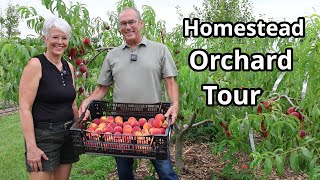 Download Lagu Homestead Orchard Tour: Growing Bounty on our Small Farm MP3