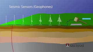 Seismic Testing