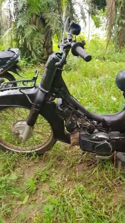 efek minyak mahal dan langka #shorts #tiktok #minyak