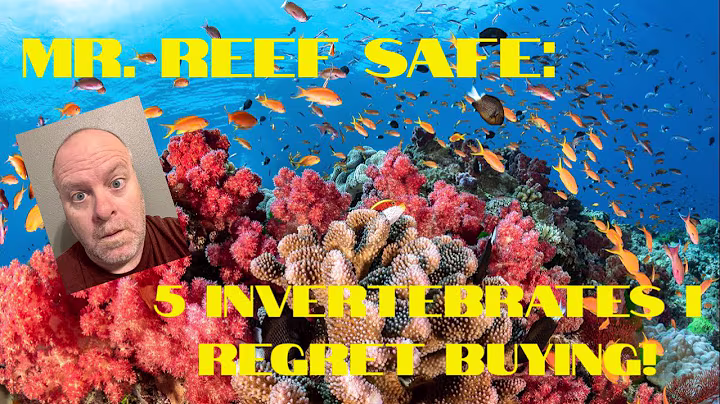 5 Invertebrates I Regret Buying!