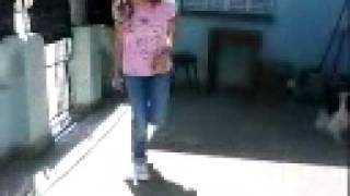 EL pasito flogger
