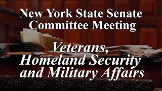 Senate Standing Committee on Veterans, Homeland Security and Military Affairs - 04/15/2024