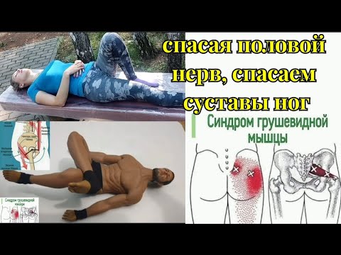 Зажим полового нерва ГУБИТ половые органы и тазобедренные суставы ...
