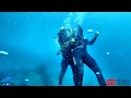 Diver Stress & Rescue Course in Madeira | Azul Diving Center