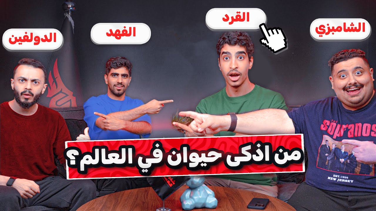 جوابك جوابهم مع اعضاء تي يو 🔥🔥