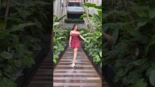 ashnoor new reel #ashnoorkaur #shorts #trending #viral #fyp #explore #foryou #love #like #ytshorts