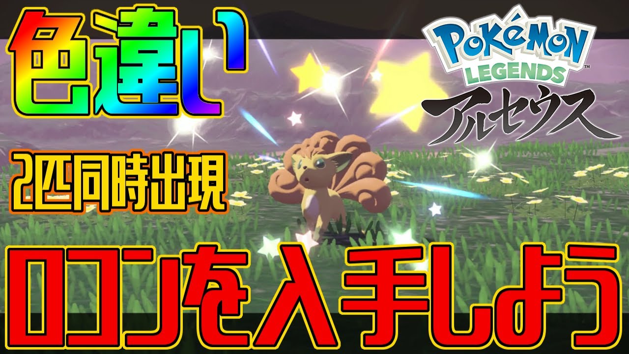 ポケモンアルセウス 色違いロコンを入手しよう 色違いロコン2匹同時出現入手 Pokemon Legends アルセウス Youtube