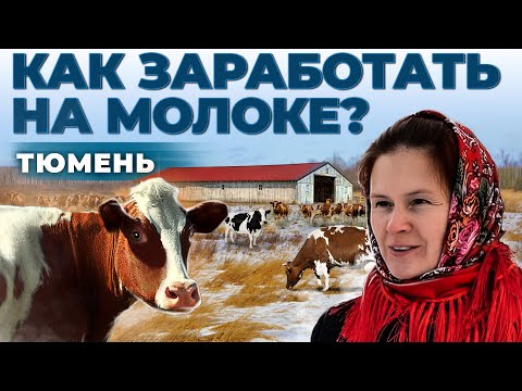 Видео: Семейни ферми за животновъдство. Проекти за семейна ферма