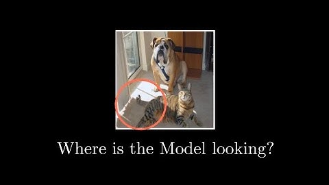 Grad-CAM : A Visual Explanation