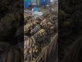 Сколько стоят фрукты и овощи на Филиппинском рынке