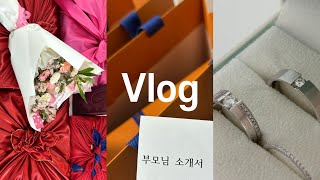 [ Sing vlog ] 결혼준비 브이로그 ㅣ상견례, 에이스 침대 계약, 웨딩링 수령, D102 끌로에, 집 계약