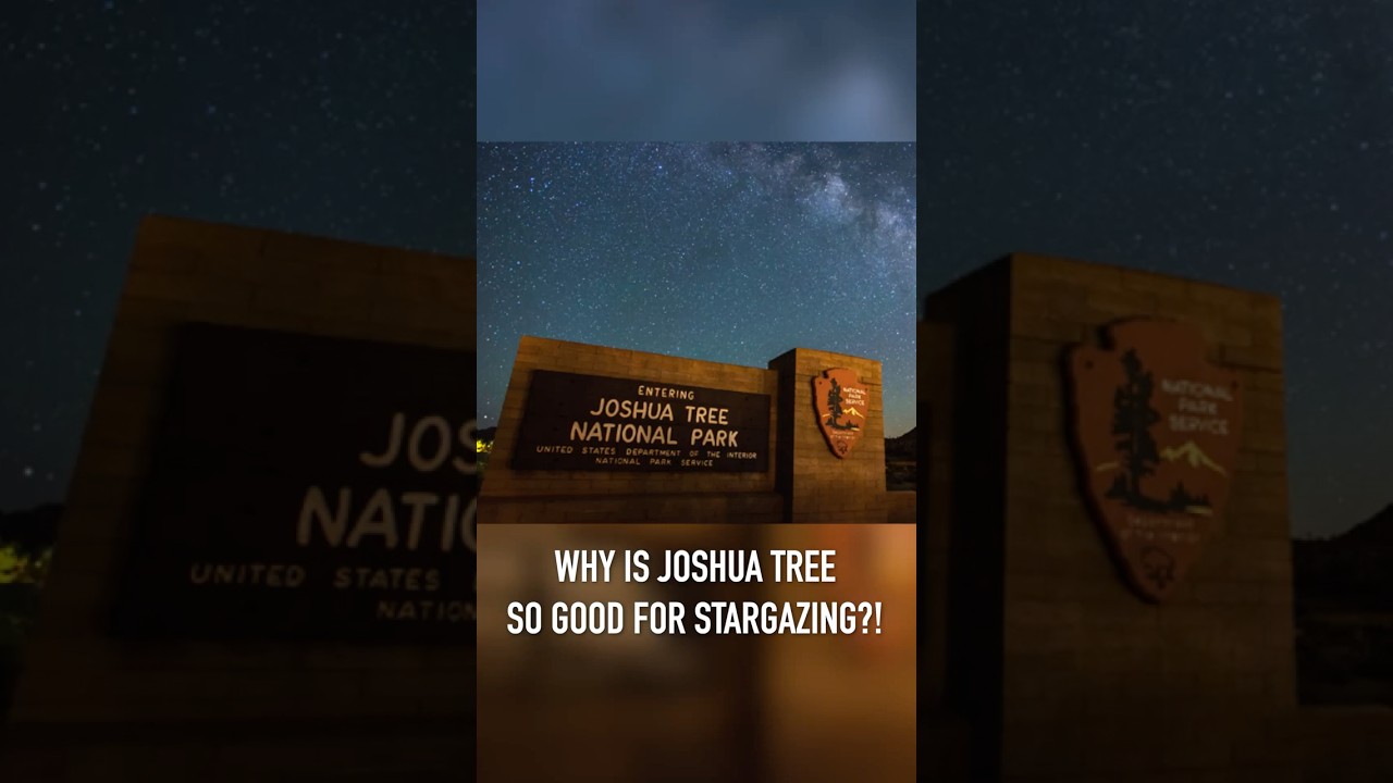 Why is Joshua Tree so synonymous with stargazing? #shorts
