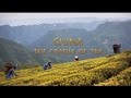 China: The Cradle of Tea (Chiny: Kolebka Herbaty)