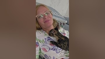 Как кошки проявляют свою любовь? 