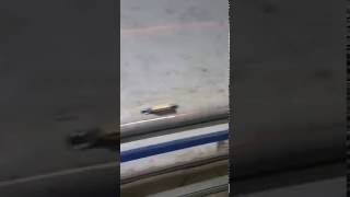 Линия для производства стеклопластиковой арматуры.(, 2016-09-26T20:03:14.000Z)