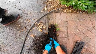 8ft Drain Snake Caught Bare Handed & The Binmen CRASH Into ME!