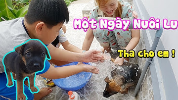 Một Ngày Nuôi Lu Lu - Tắm Em Lu Lu [ Trang And Vinh ]