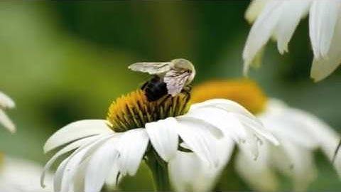 Project UAS No.1 Mobile Programming ITB STIKOM Bali