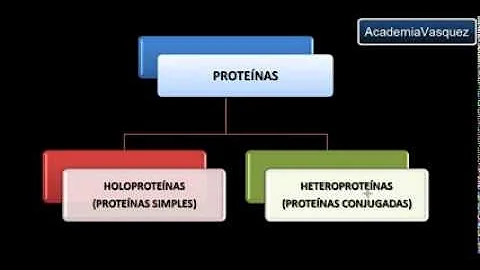 ¿Son solubles las proteínas simples?