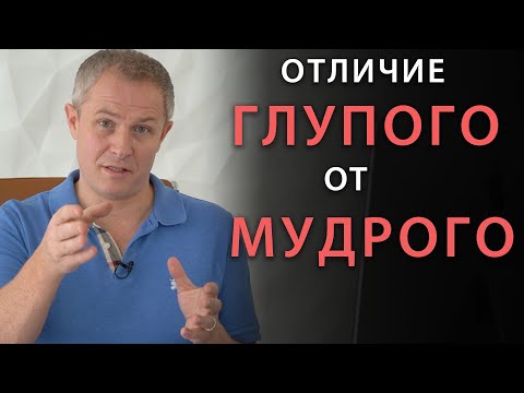 В чем отличие мудрого от глупого? Александр Шевченко