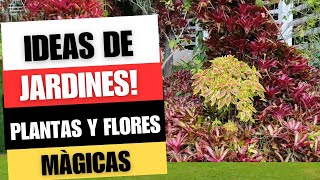 JARDINES Y PLANTAS Mágicas