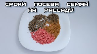 Сроки Высевания Семян на Рассаду - Когда Сеять Семена на Рассаду - Сроки Созревания Рассады