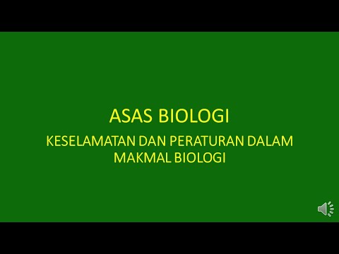 Video: Apa yang anda lakukan dalam kelas makmal biologi?