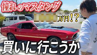 1969年式マスタングを買いにフラッと広島まで。即決購入になるか！？