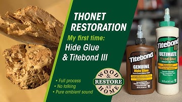 My first time: Hide Glue & Titebond III on a broken Thonet leg