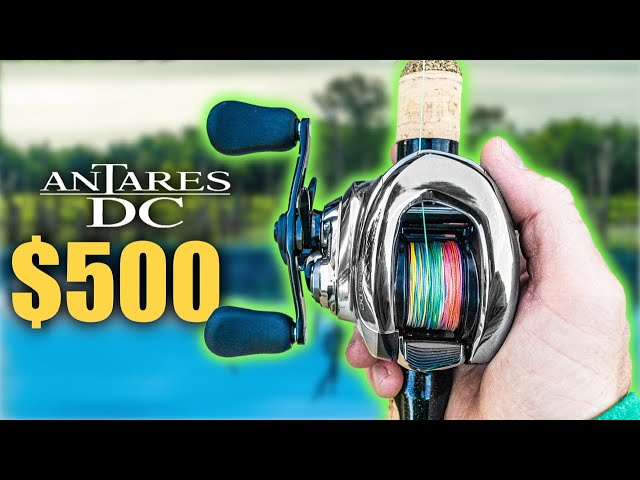 Shimano Antares DC 2021 is FIRE (Review) Fish in Water are no