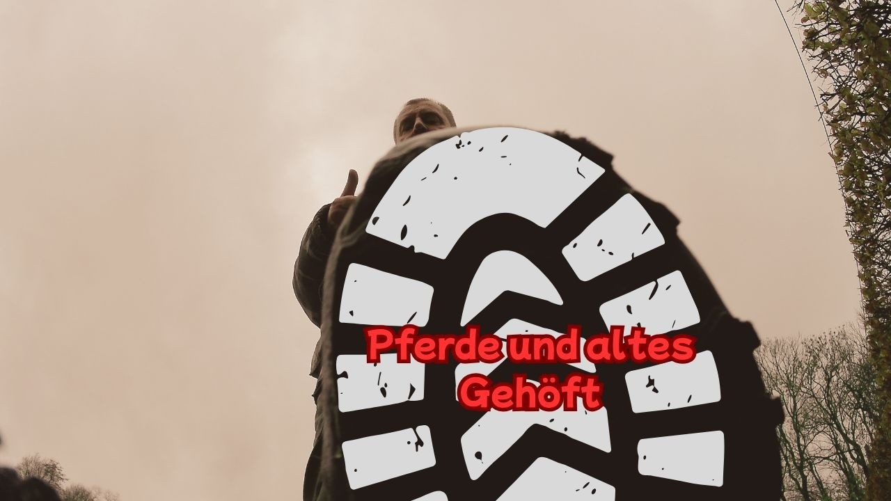 Pferde und ein altes Gemäuer