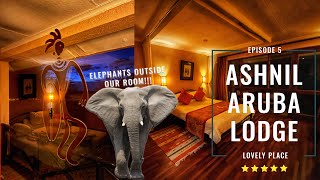 Elephants Outside Our Room | Ashnil Aruba Lodge | Travel Vlogs Kenya |