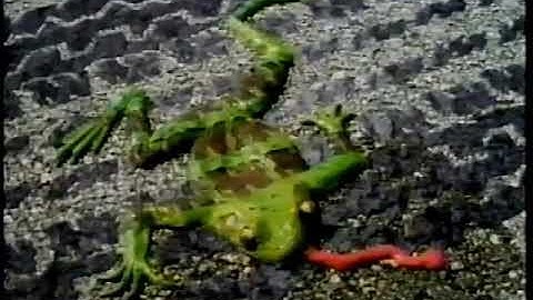 Frogger Playstation PS1 and CD-ROM Video Game Ad (1999)