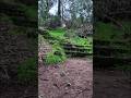 Heavyweight Trail Run #endurance #fitover40 #trailrun