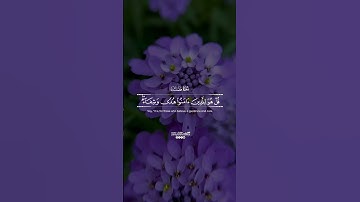 📜 آية من سورة فصلت | تلاوة قصيرة تريح النفس | طارق محمد